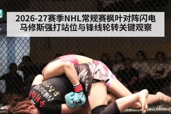 2026-27赛季NHL常规赛枫叶对阵闪电马修斯强打站位与锋线轮转关键观察